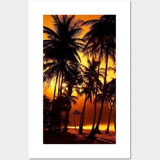 Palm Tree Posters and Art